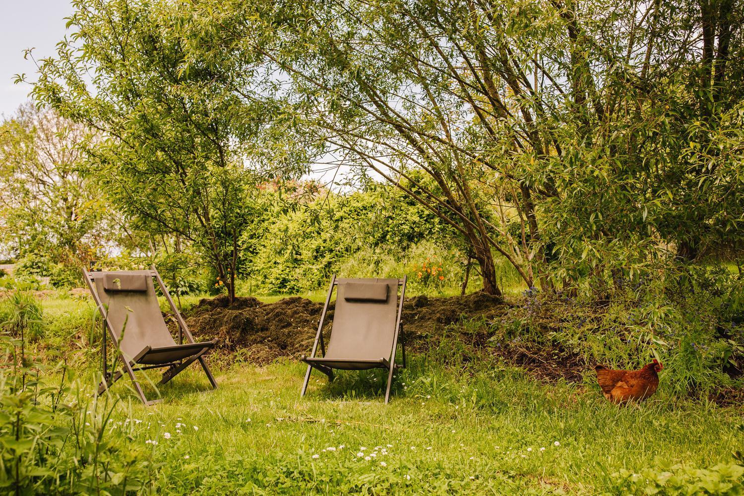 Ecolodge La Belle Verte Saint-Mʼhervé Eksteriør billede